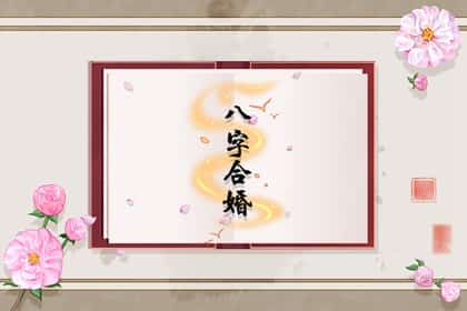 青睐网