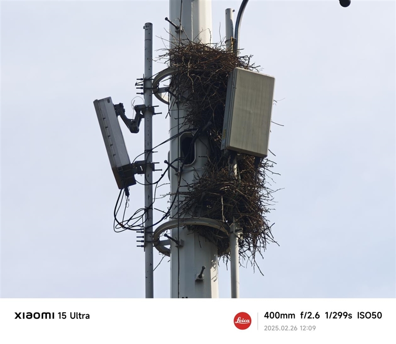 2025年最强拍照旗舰!小米15 Ultra首发评测:今年再无Ultra