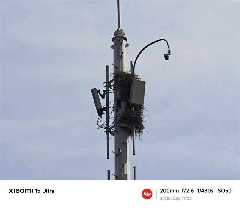 2025年最强拍照旗舰!小米15 Ultra首发评测:今年再无Ultra