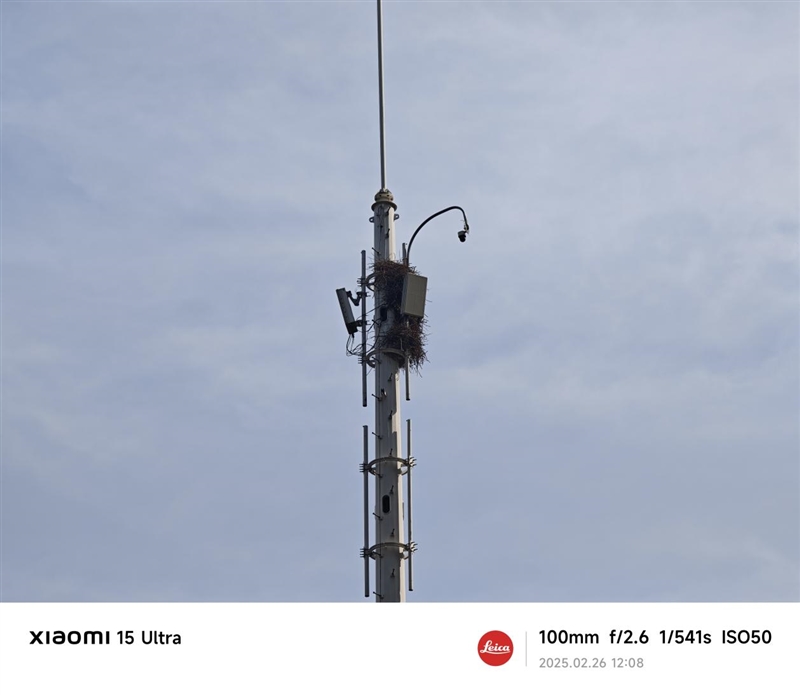 2025年最强拍照旗舰!小米15 Ultra首发评测:今年再无Ultra