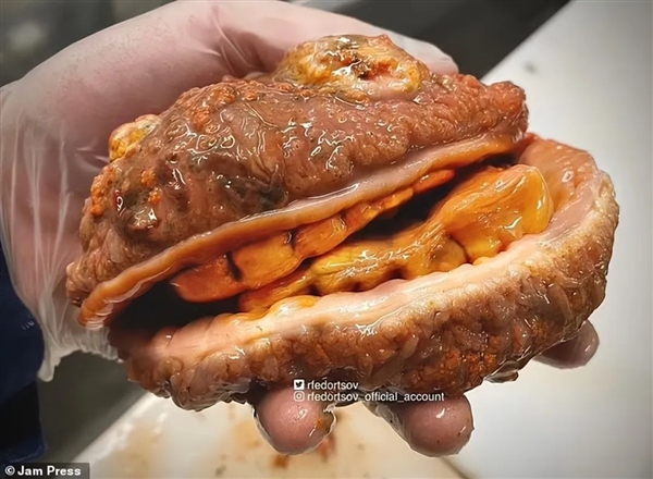 灰不溜秋像个脑袋 深海外星生物太恐怖!嗯 是鱼 很好吃