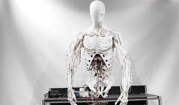 外观惊悚!波兰发布可双足行走肌肉骨骼机器人