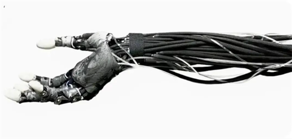 外观惊悚!波兰发布可双足行走肌肉骨骼机器人